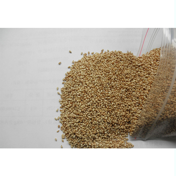 Yellow and white sesame (water drying type)